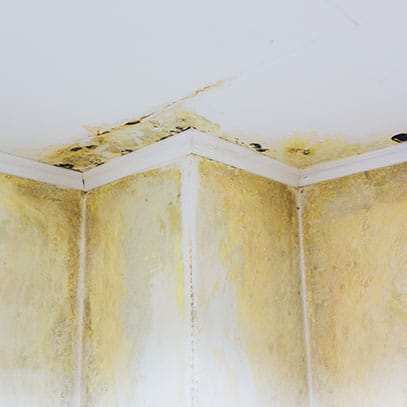  Water Damage Clean Up Cane Bay, SC