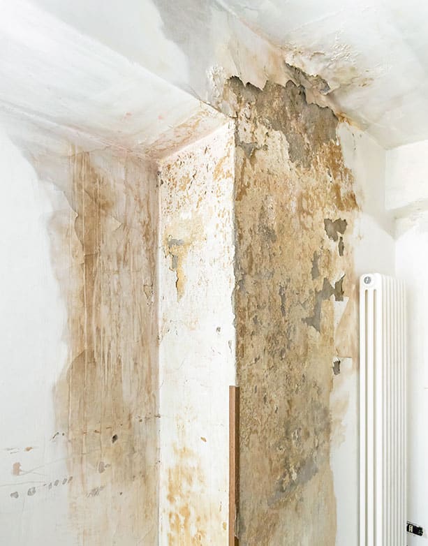  Water Damage Clean Up Hollywood, SC